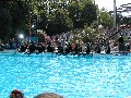 Drachenbootrennen des ZDF in Mainz